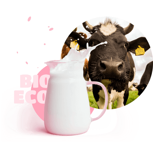 milk